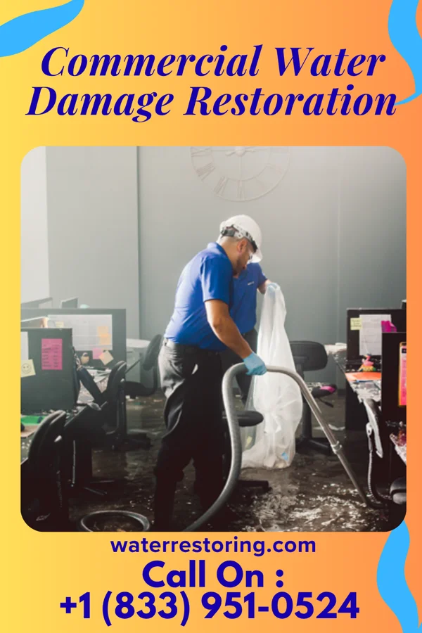 Commercial Water Damage Restoration in Chetopa, KS