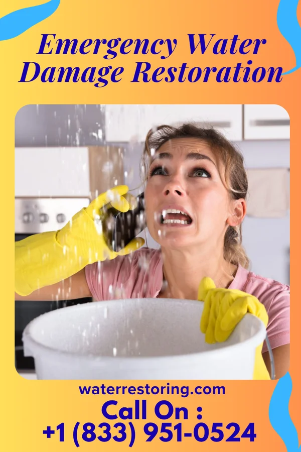 Emergency Water Damage Restoration in Chetopa, KS