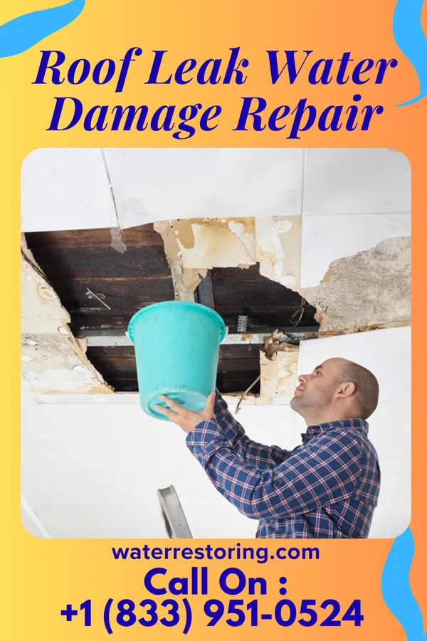 Roof Leak Water Damage Repair in Chetopa, KS