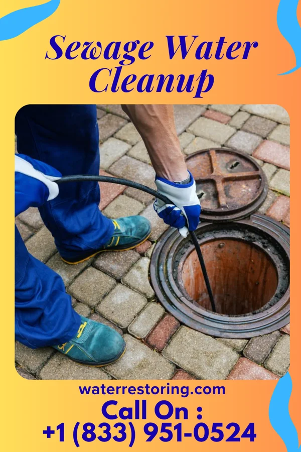 Sewage Water Cleanup in Chetopa, KS